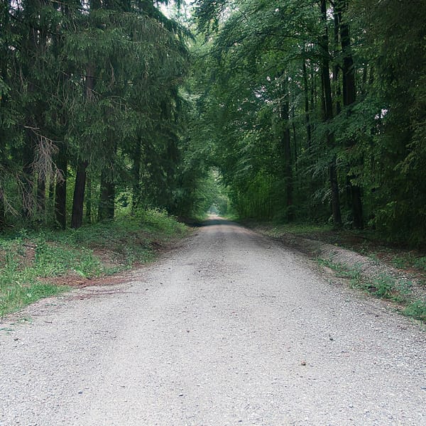 Perlacher Forst – Wikimedia Commons (Wikidata P18)