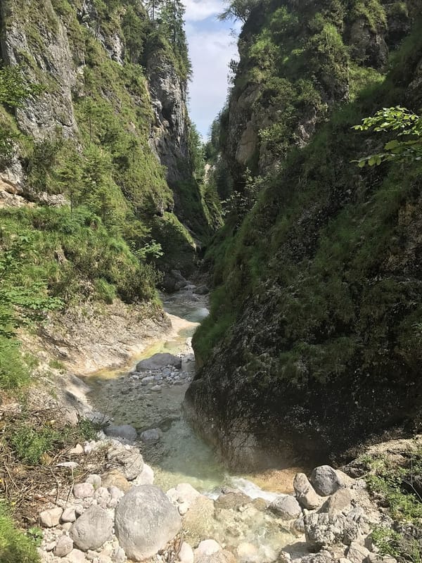 Schellenberger Forst – Wikimedia Commons (Wikidata P18)