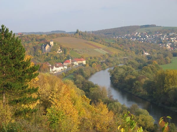 Schonungen – Wikimedia Commons (Wikidata P18)