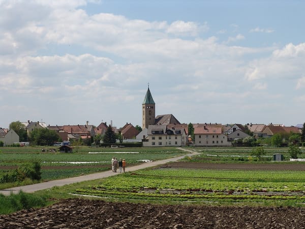 Sennfeld – Wikimedia Commons (Wikidata P18)
