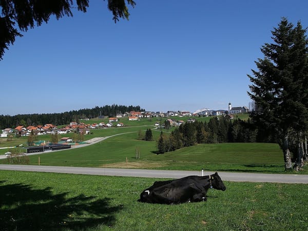 Sulzberg – Wikimedia Commons (Wikidata P18)