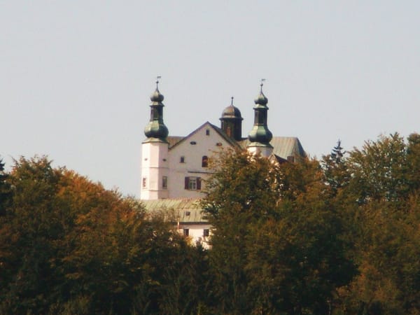 Tittling – Wikimedia Commons (Wikidata P18)
