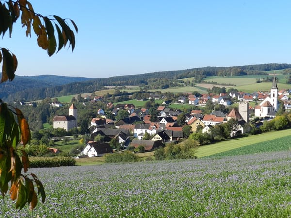 Trausnitz – Wikimedia Commons (Wikidata P18)