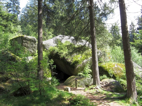Tröstauer Forst-West – Wikimedia Commons (Wikidata P18)