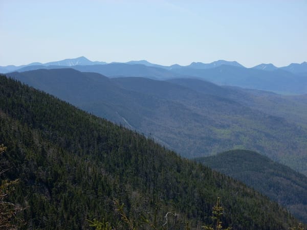 Wald – Wikimedia Commons (Wikidata P18)