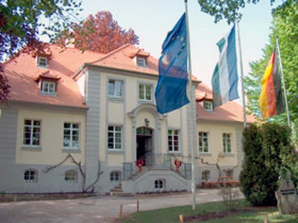Weidenbach – Wikimedia Commons (Wikidata P18)