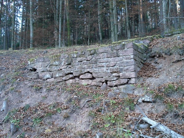 Wiesener Forst – Wikimedia Commons (Wikidata P18)