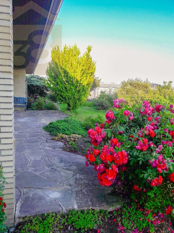 Terrasse EG