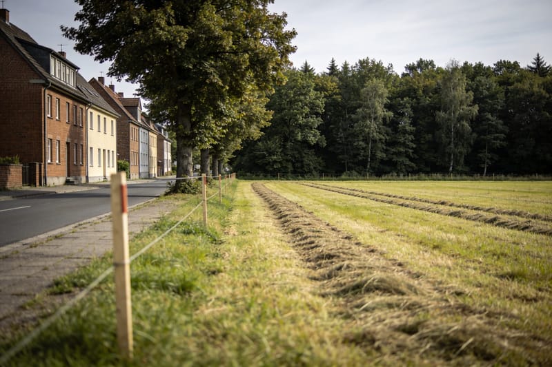 Grundstücksgrenze mit Vermessungspunkt