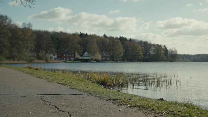 Uferkante am See mit Schilf und Uferweg