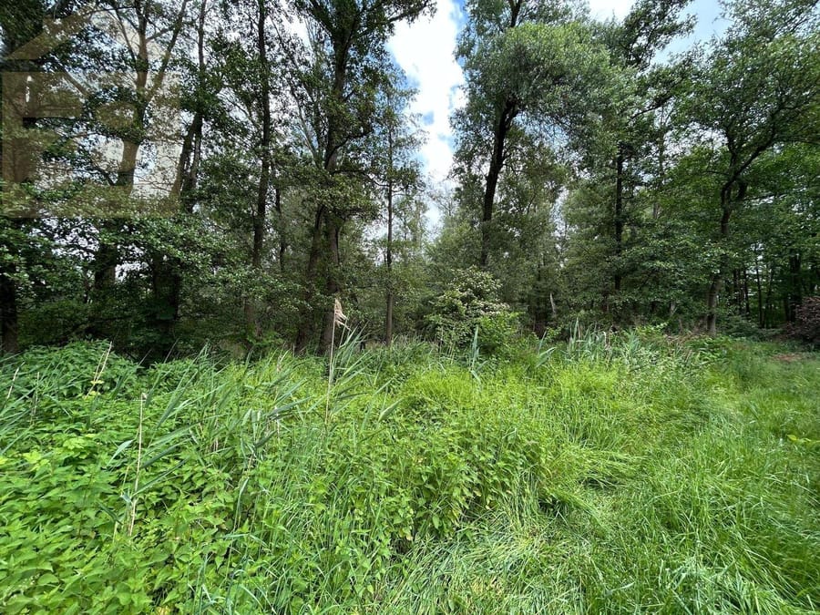 Grundstück (Anlageobjekt) in Rühen, 28.000 m²